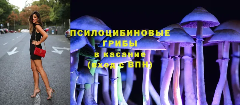 Псилоцибиновые грибы Magic Shrooms  купить закладку  Белая Калитва 